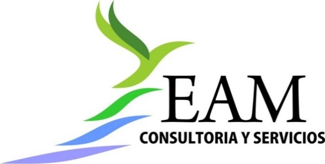 EAM Consultoría y Servicios S.A.S.